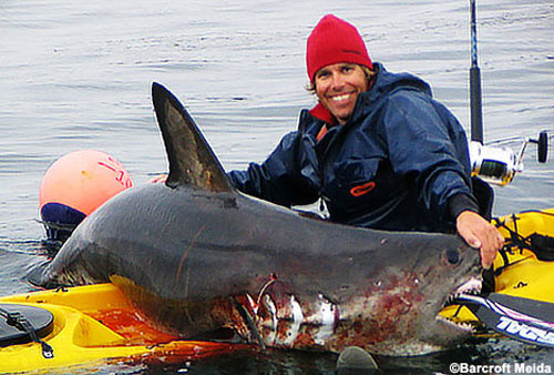 shark-hunter-kayak.jpg?w=500&h=338