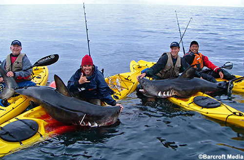 shark-hunter-kayak2.jpg?w=500&h=327